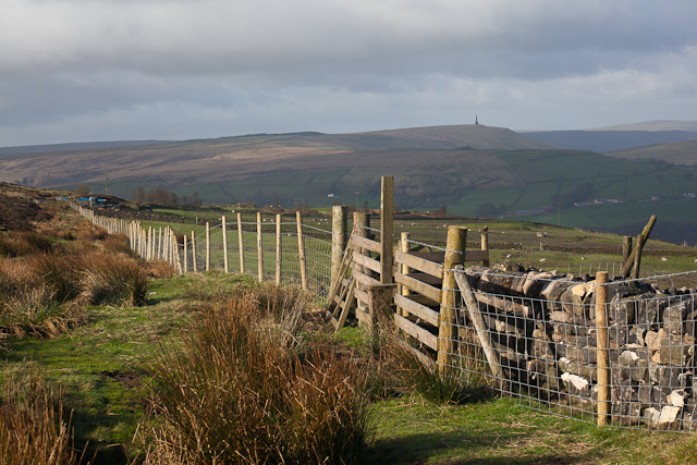 Fence at the edge of the Moor.
