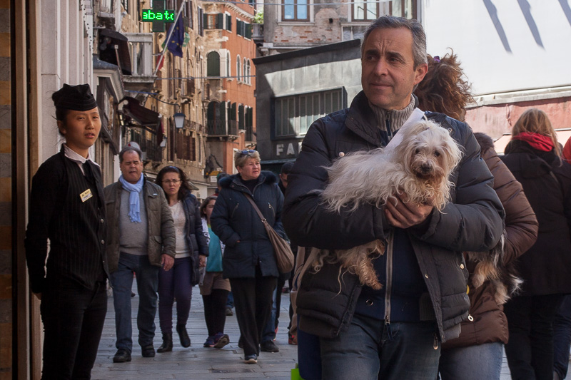 Walking the dog, Venice