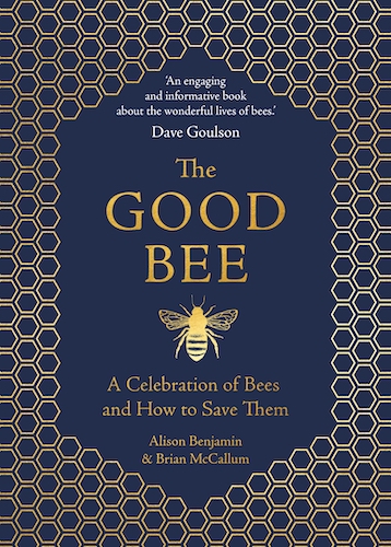 Book review: ‘The Good Bee’ by Alison Benjamin & Brian McCallum