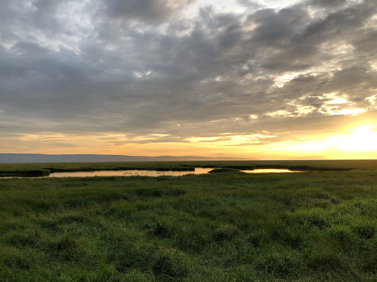 Dee Marshes, Parkgate, sunset
