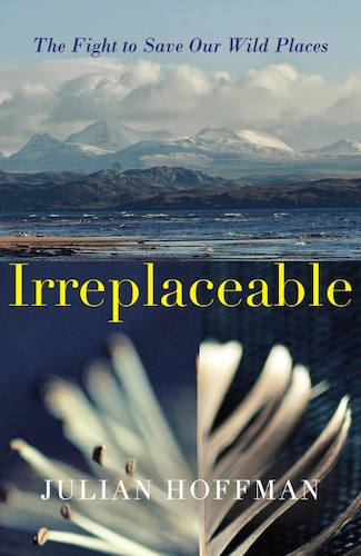 ‘Irreplaceable’ by Julian Hoffman