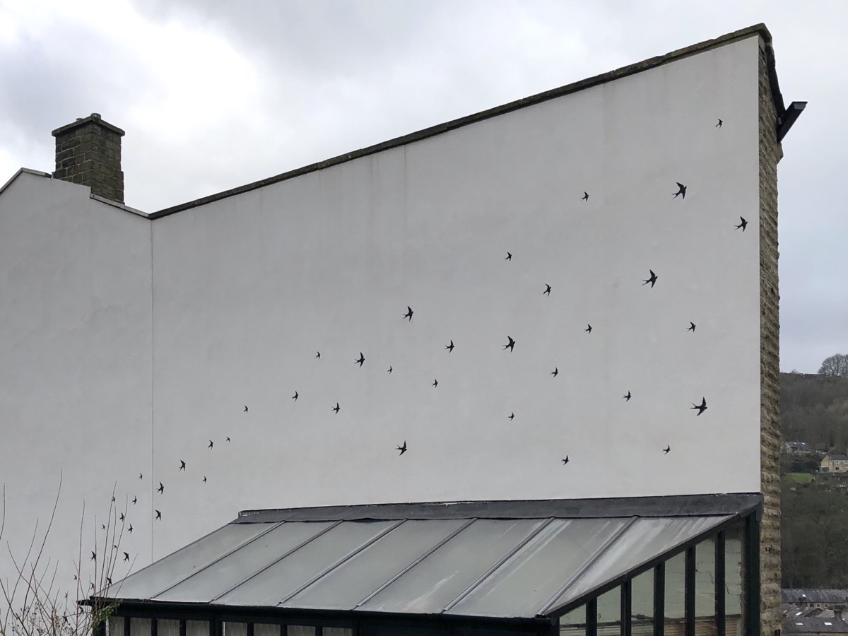 Swallows mural