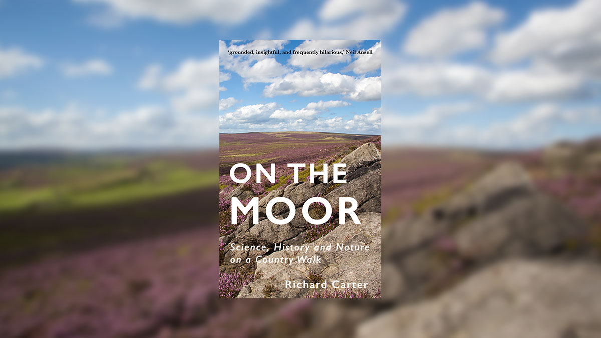 'On the Moor' by Richard Carter