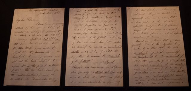 Letter to Darwin from Alfred Russel Wallace, suggesting he drop the term ‘natural selection’.