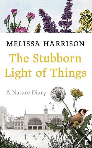 ‘The Stubborn Light of Things’ by Melissa Harrison