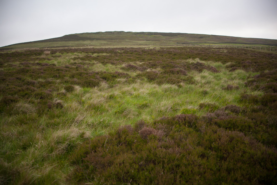 Urnfield