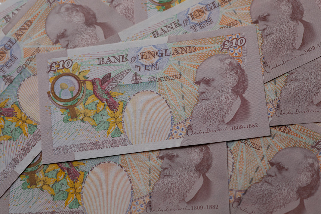 Darwin tenners