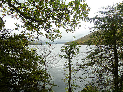 Looking towards the Unexplored Arctic