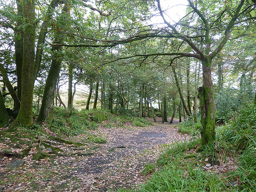 The camp site.