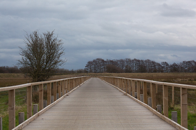 Cycle path, Burton Marshes