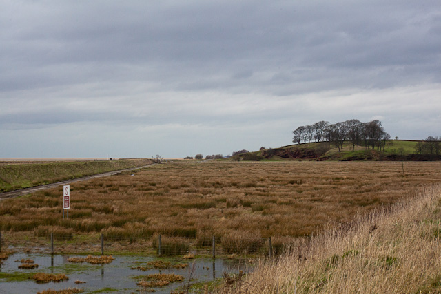 Burton Point