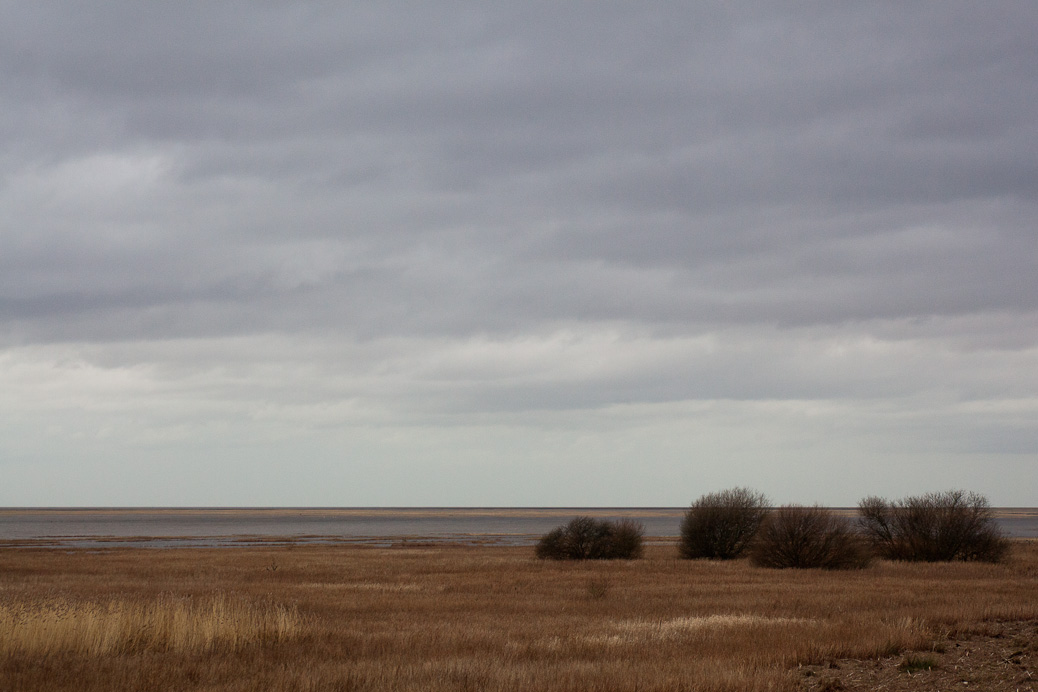In the wilderness of Wirral