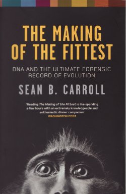 Book review: ‘The Making of the Fittest’ by Sean B Carroll