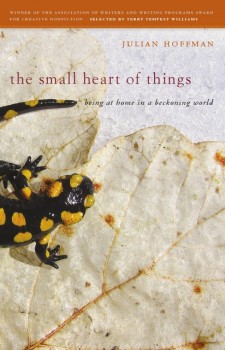 Book review: ‘The Small Heart of Things’ by Julian Hoffman