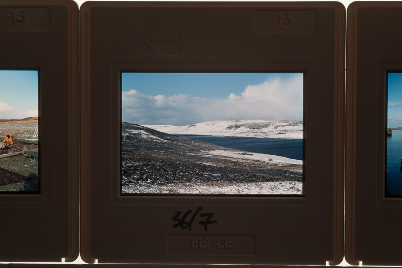 How to digitise photos from slides or negatives without a scanner