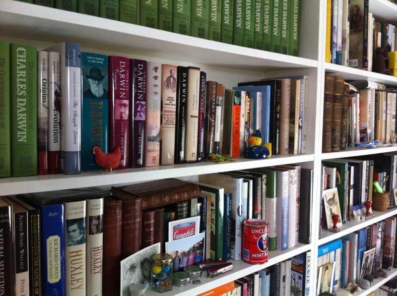 What I read in 2014