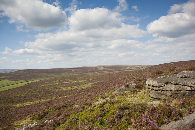 The Moor in August