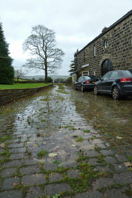 Driveway spring