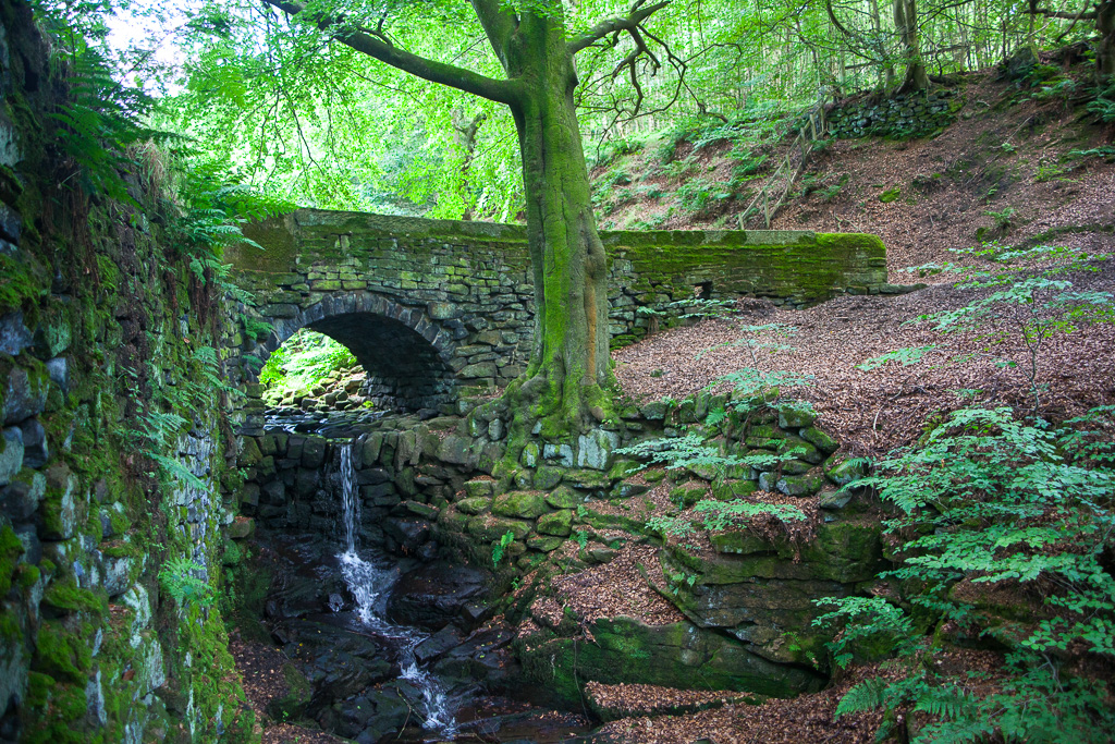 Packhorse bridge, Nutclough Wood
