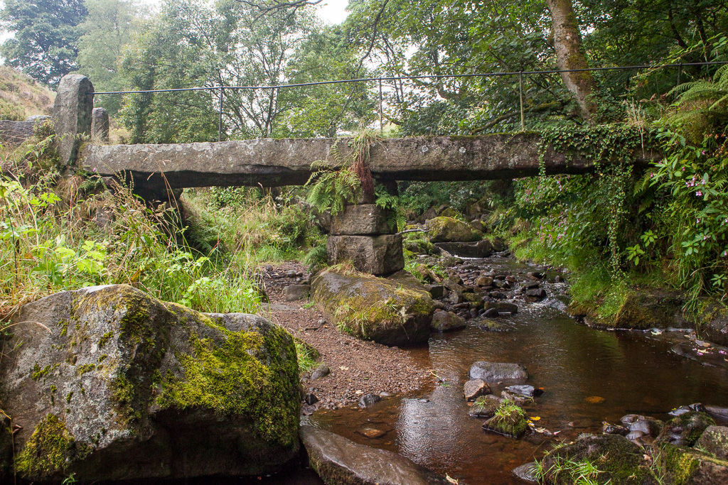Footbridge across Colden Water