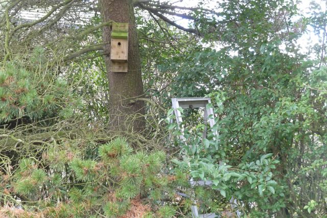 Nest box