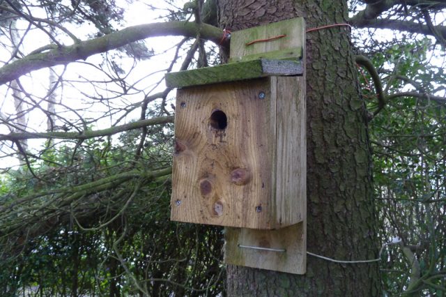 Nest box