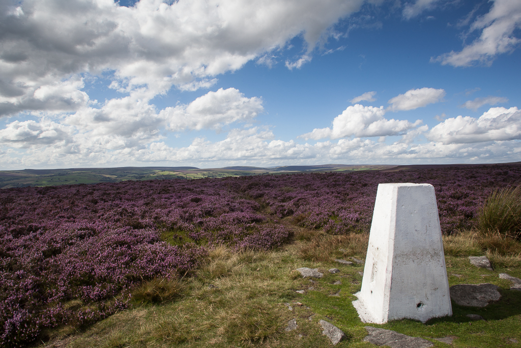 Trig. Point 4144
