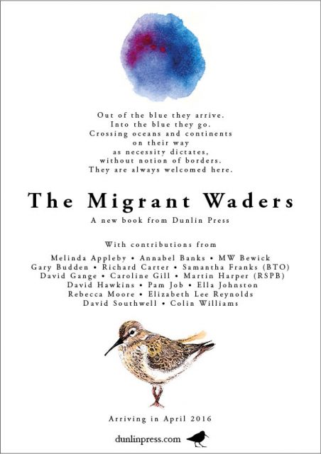 Migrant Waders poster