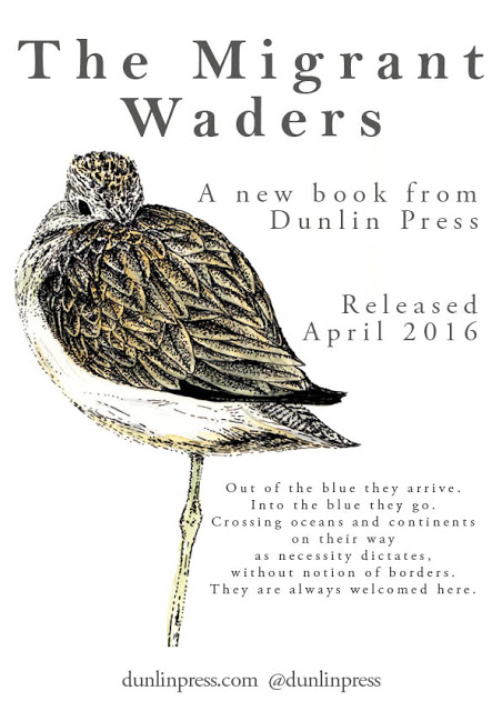 Migrant waders anthology
