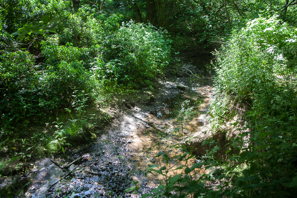 Keswick Woods