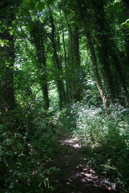 ‘Keswick Woods’