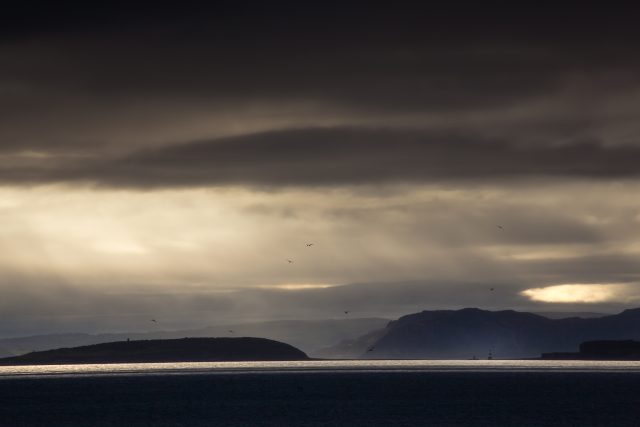 Newsletter No. 2: ‘Glorified monkeys’