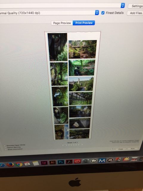 Print preview