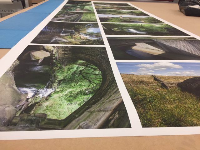 Print roll