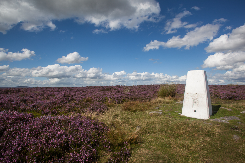 Trig point