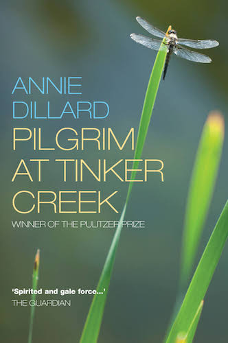 Book review: ‘Pilgrim at Tinker Creek’ by Annie Dillard