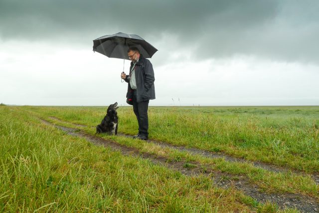 Newsletter No. 7: ‘Hacked and hurt by time’