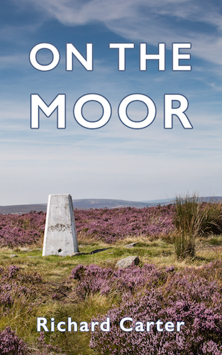 Feedback sought: Potential covers for my book