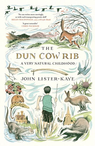 Book review: ‘The Dun Cow Rib’ by John Lister-Kaye