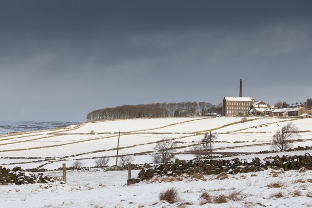 Newsletter No. 12: ‘Unspeakable things beneath the shrubs’