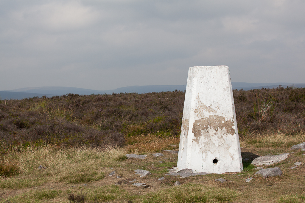 Where has all the heather gone?