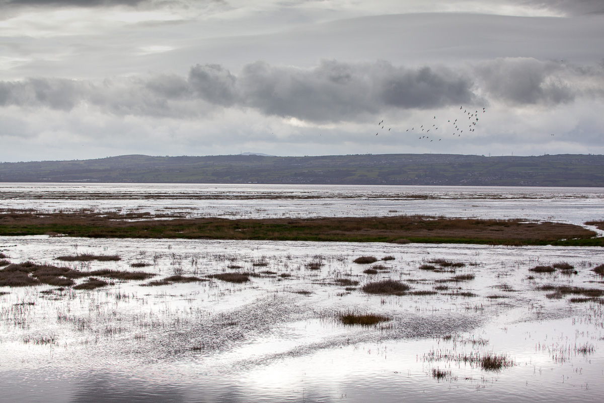 High tide, Gayton Marshes