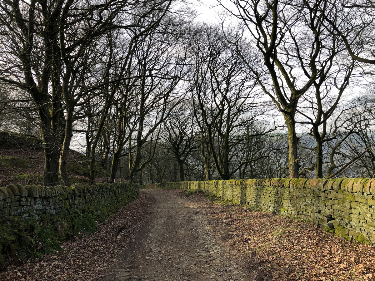 Cobbled lane