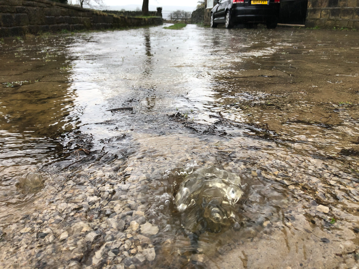16 March 2019
