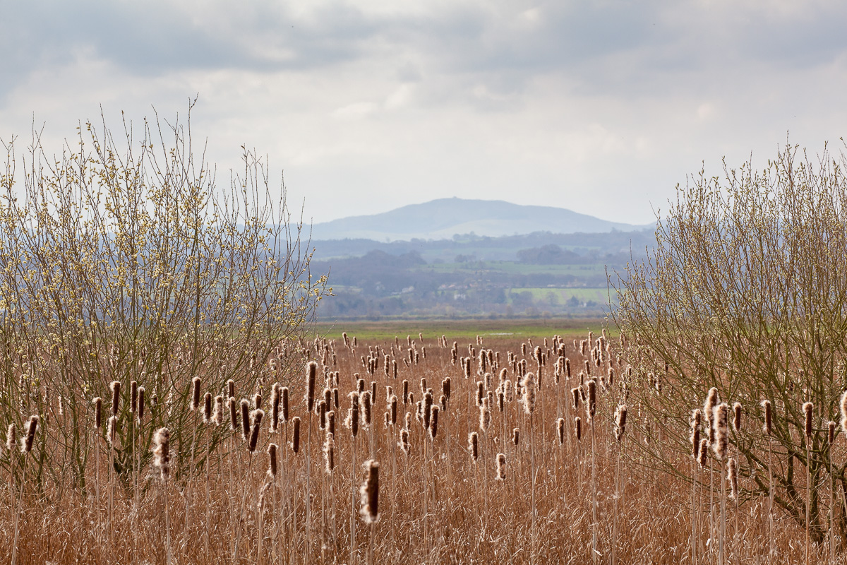 Dee Marshes, Burton Point