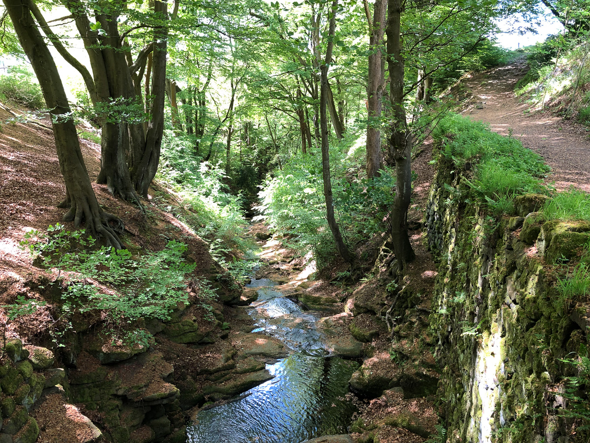 Nutclough Wood