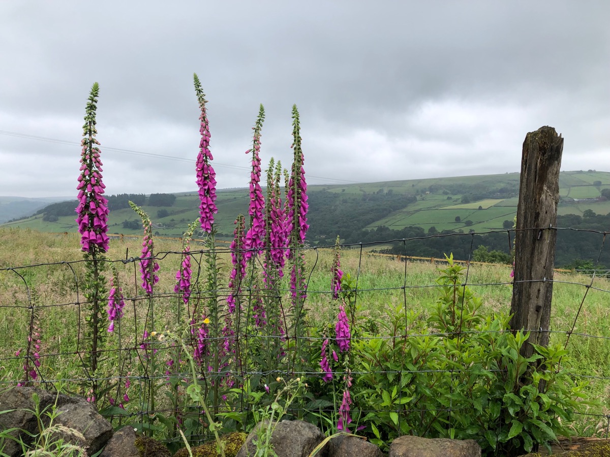 25 June 2019