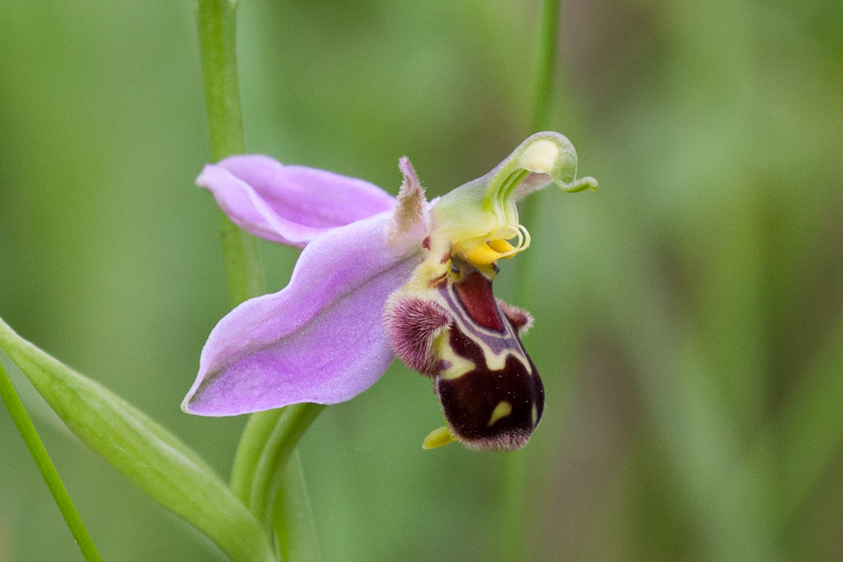 18 June 2019