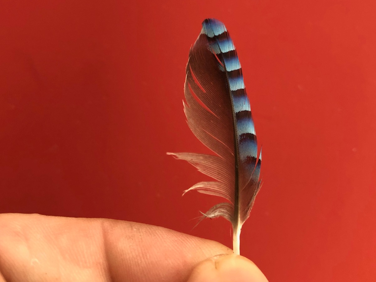 23 June 2019