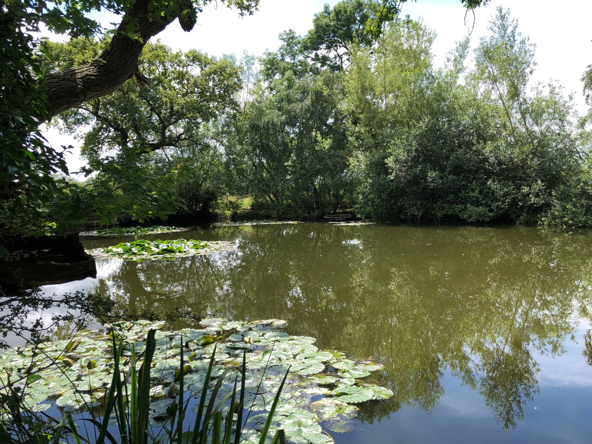 Wirral pond